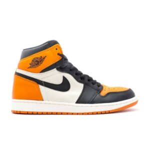 Air Jordan 1 Retro High OG Panneau brisé 555088 005