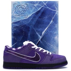 Concepts x Nike Dunk Low SB Violet Lobster Boîte spéciale BV1310 555