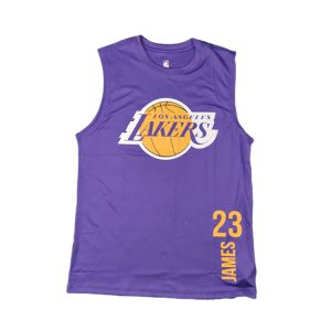 Maillot de sport 2020 Los Angeles Lakers James 23 chemise violette violet 92205