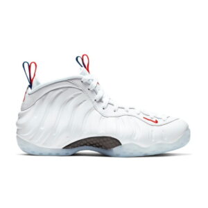 Nike Air Foamposite One USA W Bleu AA3963 102