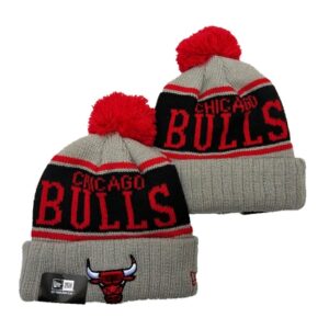 Casquette NBA Chicago Bulls Rouge Gris 2019 103474