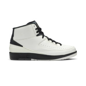 Air Jordan 2 Retro Wing It Baskets 834272 103