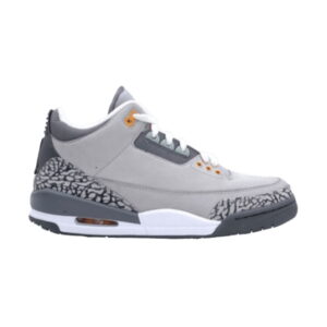 Air Jordan 3 Retro LS Cool Gris 2006 315297 062