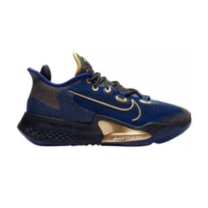 Nike Air Zoom BB NXT Bleu Void Or Métallique CK5708 400