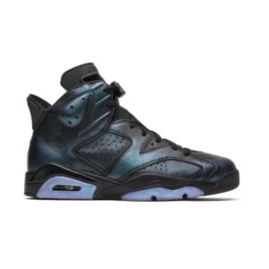 Air Jordan 6 Retro All Star – Chaméléon 907961 015