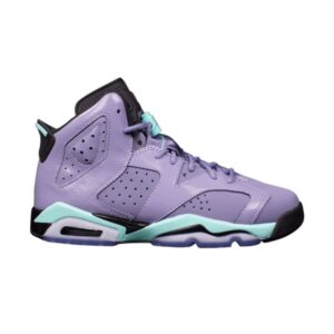 Air Jordan 6 Retro GG Iron Violet Baskets 543390 508