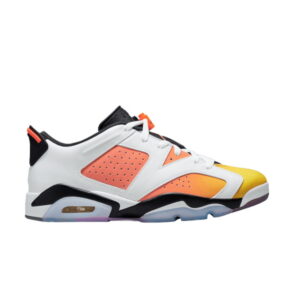 Air Jordan 6 Retro Low SE Dongdan Baskets DC1048 110