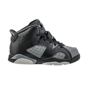 Air Jordan 6 Retro PS Cool Gris Gris 384666 010