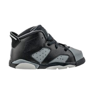 Air Jordan 6 Retro TD Gris froid 384667 010