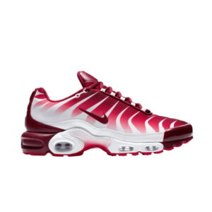 Nike Air Max Plus Après la morsure Bleu AQ0237 101