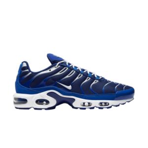 Nike Air Max Plus Arctic Chill Baskets CW7024 400