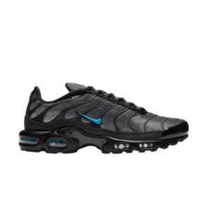 Nike Air Max Plus Noir Hex Baskets Noir DC1935 001