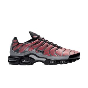 Nike Air Max Plus Euro Tour Baskets Gris CW7575 100