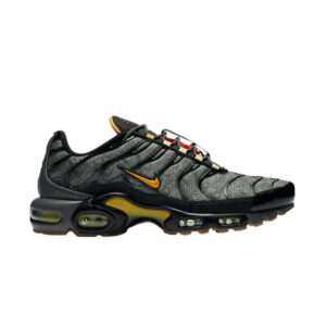 Nike Air Max Plus Fresh Perspective Baskets Noir DC7392 300