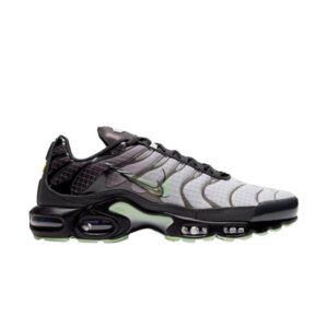 Nike Air Max Plus Future Swoosh Blanc CT1619 001