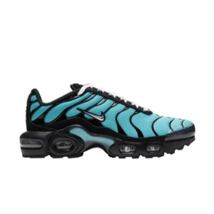 Nike Air Max Plus GS Aqua baskets CD0609 405