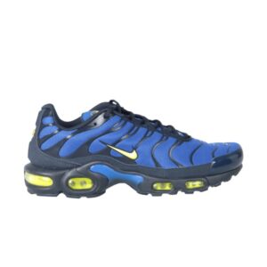 Nike Air Max Plus Hyper Royal Volt Bleu 852630 412