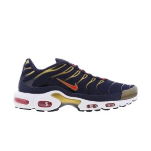 Nike Air Max Plus OG Baskets olympiques Gris DH4682 400