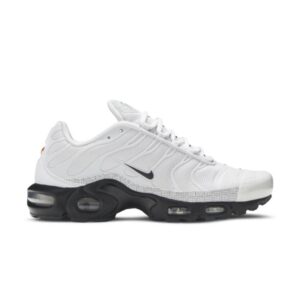 Nike Air Max Plus Platine Noir Blanc CT2542 001