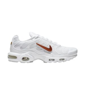 Nike Air Max Plus Swoosh amovible Crème CJ9696 100