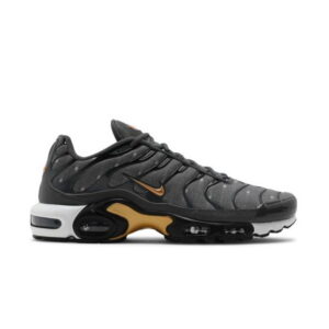 Nike Air Max Plus SE Baskets Gris Fer Métallique Or Noir DM7570 002