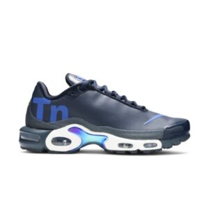 Nike Air Max Plus TN SE Baskets Obsidienne Argent AQ1088 400