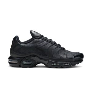 Nike Air Max Plus TN Triple Noir AJ2029 001