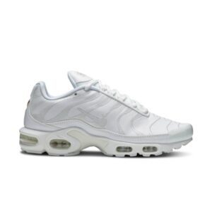 Nike Air Max Plus TN Triple Blanc AJ2029 100