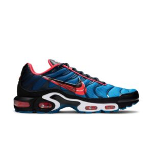 Baskets Nike Air Max Plus Time Capsule CT1618 400