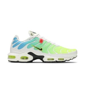 Nike Air Max Plus Pack mondial CK7291 100