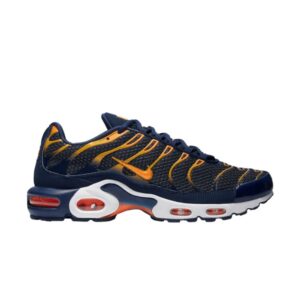 Nike Air Max Plus Bleu Void Baskets Multicolore 852630 408