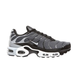 Nike Air Max Plus Baskets Gris Foncé Crème 852630 016