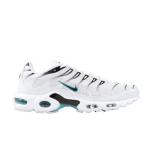 Nike Air Max Plus baskets Dusty Cactus 852630 106
