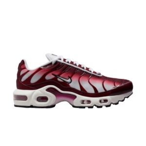 Nike Air Max Plus GS Baskets Betterave Foncé Blanc CD0609 600
