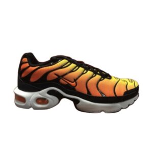 Nike Air Max Plus GS Sunset Baskets 655020 781