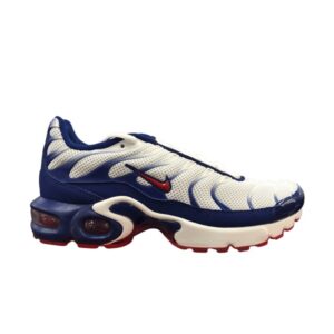 Nike Air Max Plus GS USA Baskets Marron CK0003 100