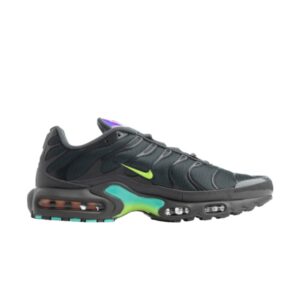 Nike Air Max Plus Vert Fantôme CV1636 001