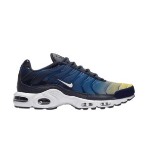 Nike Air Max Plus Dégradé Pack Bleu 852630 407