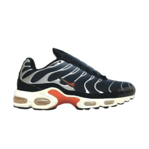 Nike Air Max Plus Gris Machine 604133 061