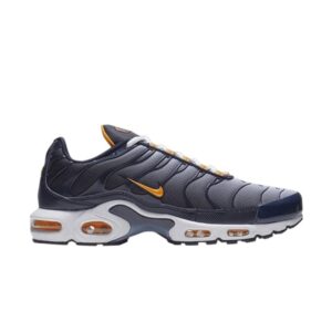 Nike Air Max Plus Baskets Marine Brume CI2299 400