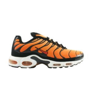 Nike Air Max Plus Sunset OG Baskets 604133 861
