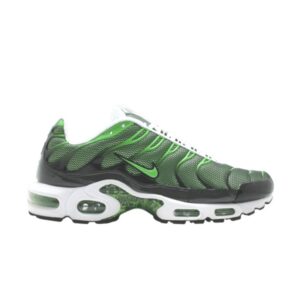 Nike Air Max Plus Baskets de rajeunissement 313670 031