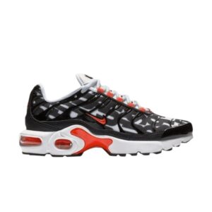 Nike Air Max Plus SE GS Just Do It Gris AT6143 100