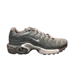 Nike Air Max Plus TN GS Gris froid 655020 095