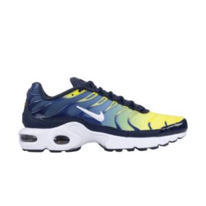 Nike Air Max Plus TN GS Obsidienne Blanc 655020 420