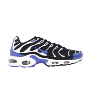 Nike Air Max Plus TXT baskets violettes persanes 647315 051