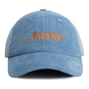 Cap Awake Corduroy Classic Logo Dad Hat Bleu clair Bleu clair 344109