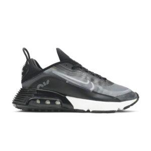 Nike Air Max 2090 Noir CW7306 001
