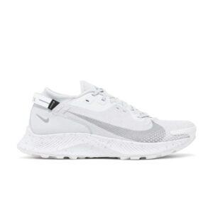 Nike Pegasus Trail 2 Gore-Tex Platine pur DC1933 100