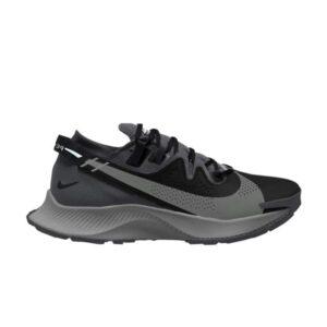 Baskets Wmns Nike Pegasus Trail 2 Gris Fumée Foncé CK4309 002